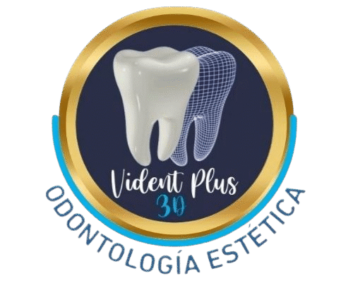 videntplus3d.com